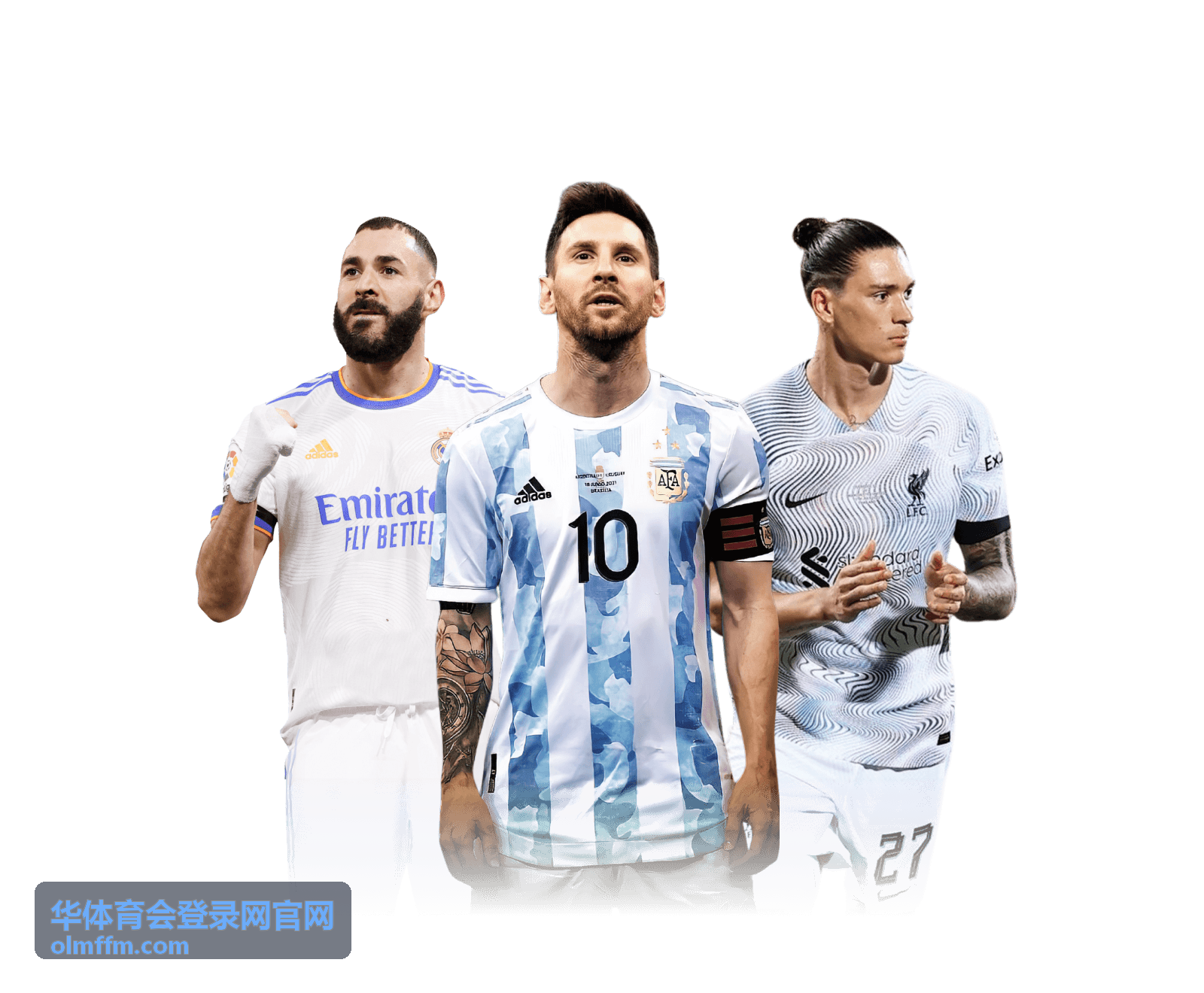 网页登录入口指引图片